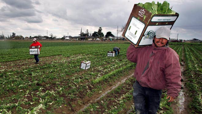 kansas farm.jpg